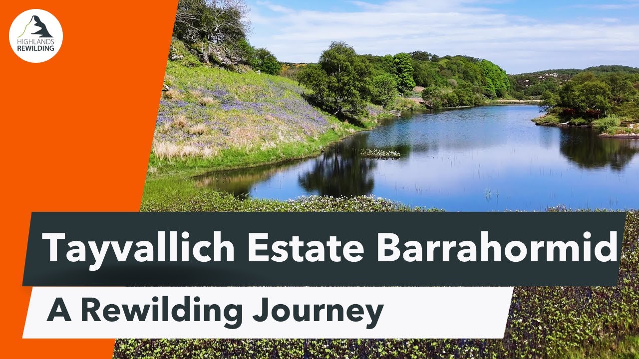 Tayvallich rewilding journey Barrahormid