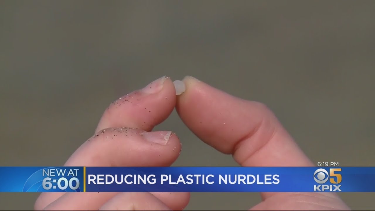 Oakland Non-Profit Aims To Reduce Number Of Small Plastic 'Nurdles' Ending Up In Ocean