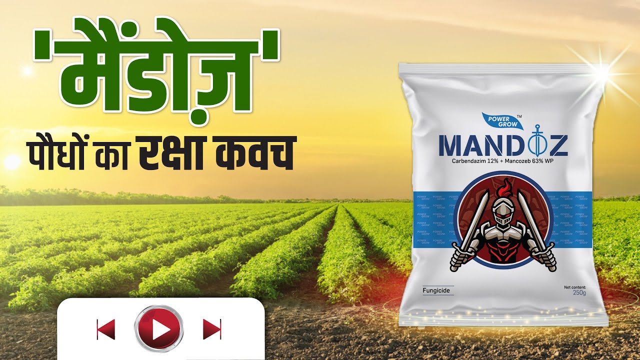 नंबर 1 फंगीसाइड 👌 AgroStar Mandoz🔥 पौधों की करें सुरक्षा Mancozeb 63% + Carbendazim 12% WP