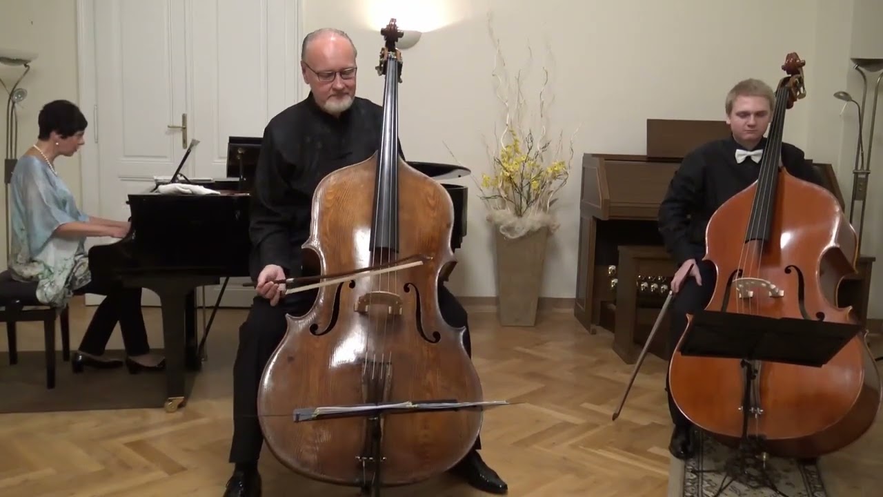 Miloslav Gajdoš Hora Romani  -  Miloslav Jelínek, Sebastian Brettfeld, Marcela Jelínková