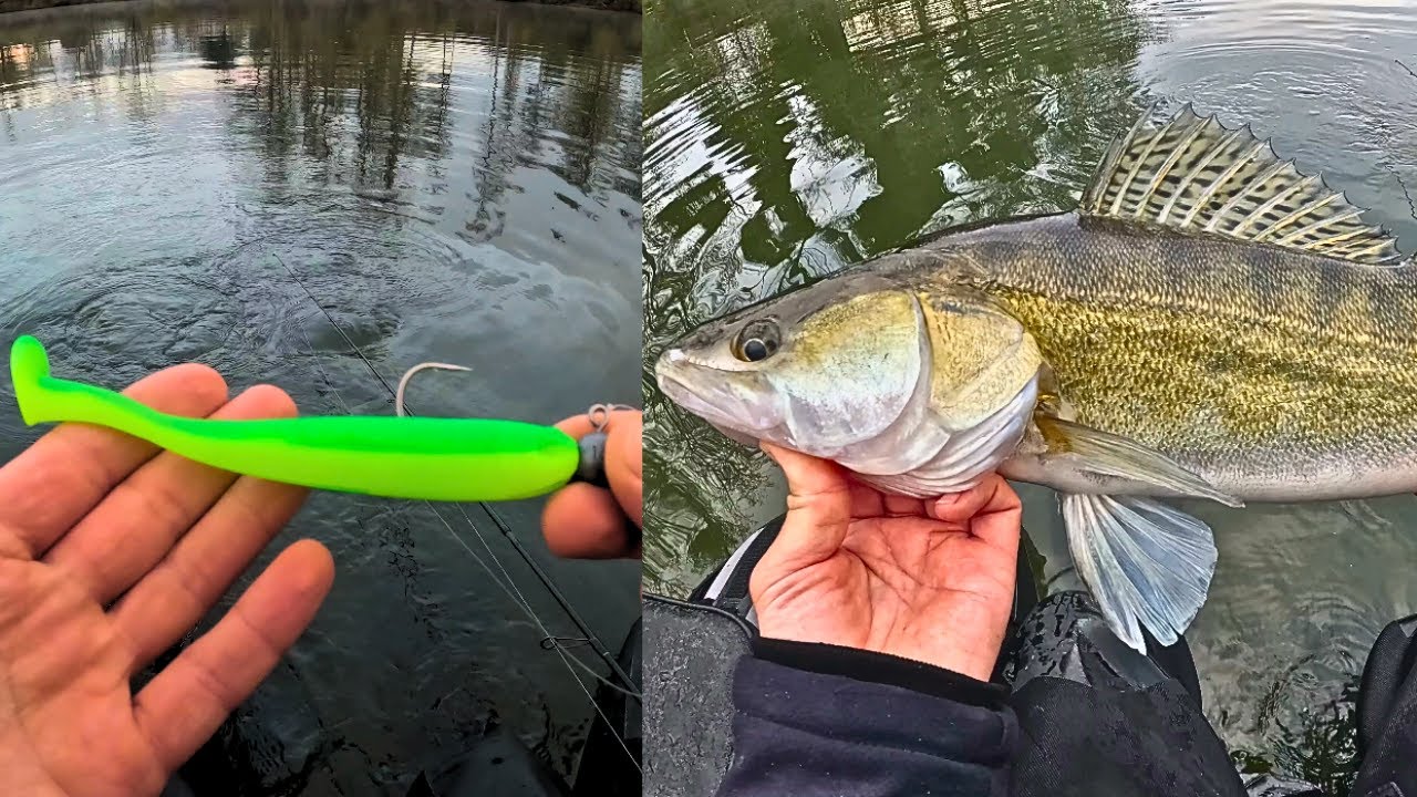 LA PÊCHE DEVIENT DIFFICILE : JE TESTE LE NOUVEAU PIT SWIMMER DE CHEZ FIIISH
