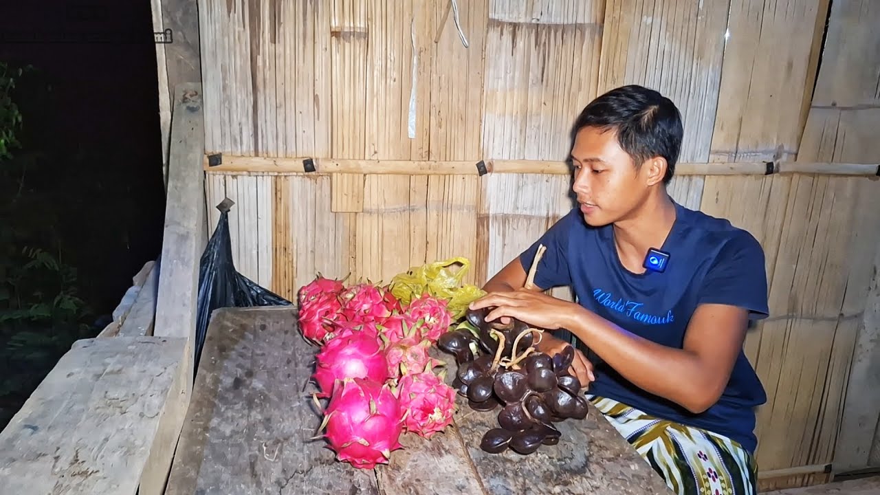Alhamdulillah, Ahirnya Bisa Panen Buah Dikebun, Tanaman Beberapa Tahun Lalu,