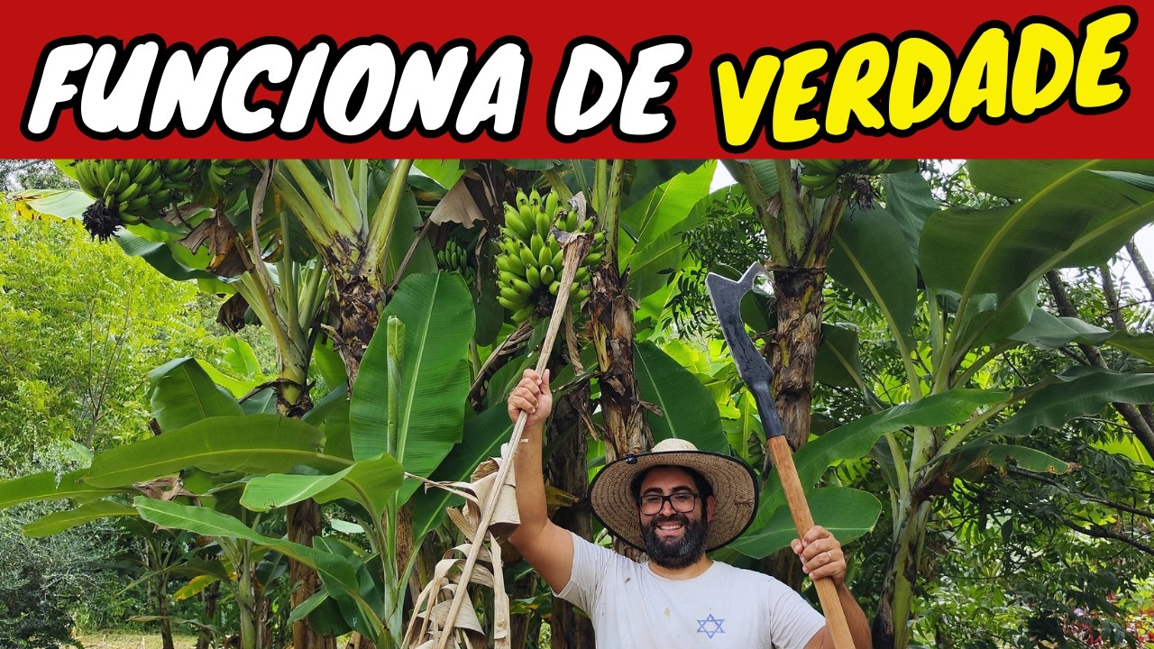 ✅SUPREENDA-SE  | FERRAMENTA de PODAR BANANEIRA de OUTRO NÍVEL