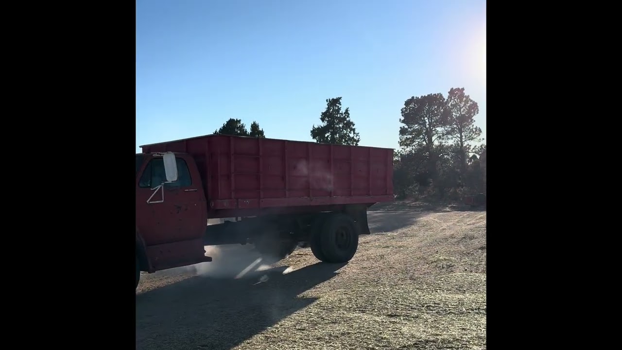 GMC 6000 Grain Truck lot #5 Selling on our 2026 Online Spring Consignment Auction