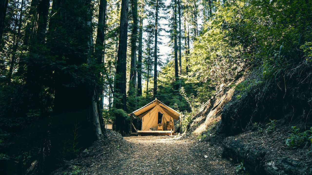 Glamping for the First Time at the Lost Garden Retreat in the English Countryside [Full Tour]