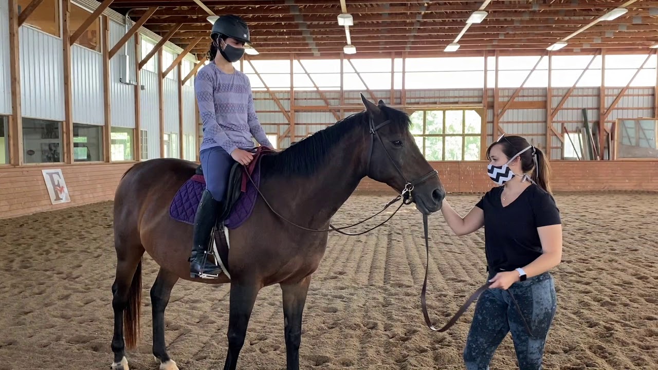 Madison Fields - COVID Therapeutic Riding Procedures