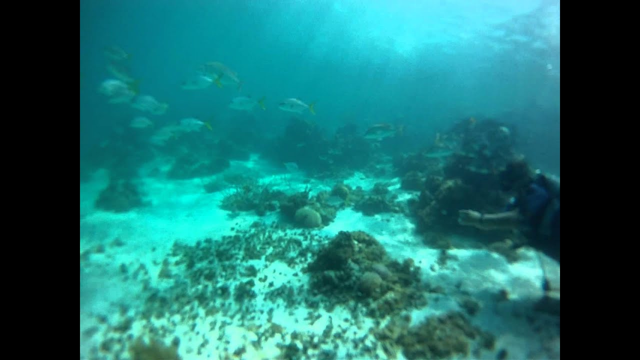 GOPR0066