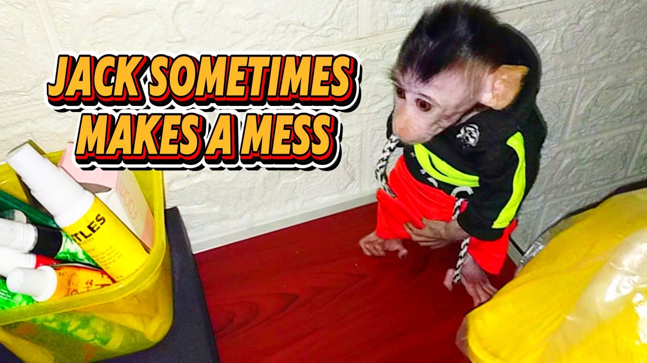 jack sometimes makes a mess #viral #trending #viralvideo #trendingvideo
