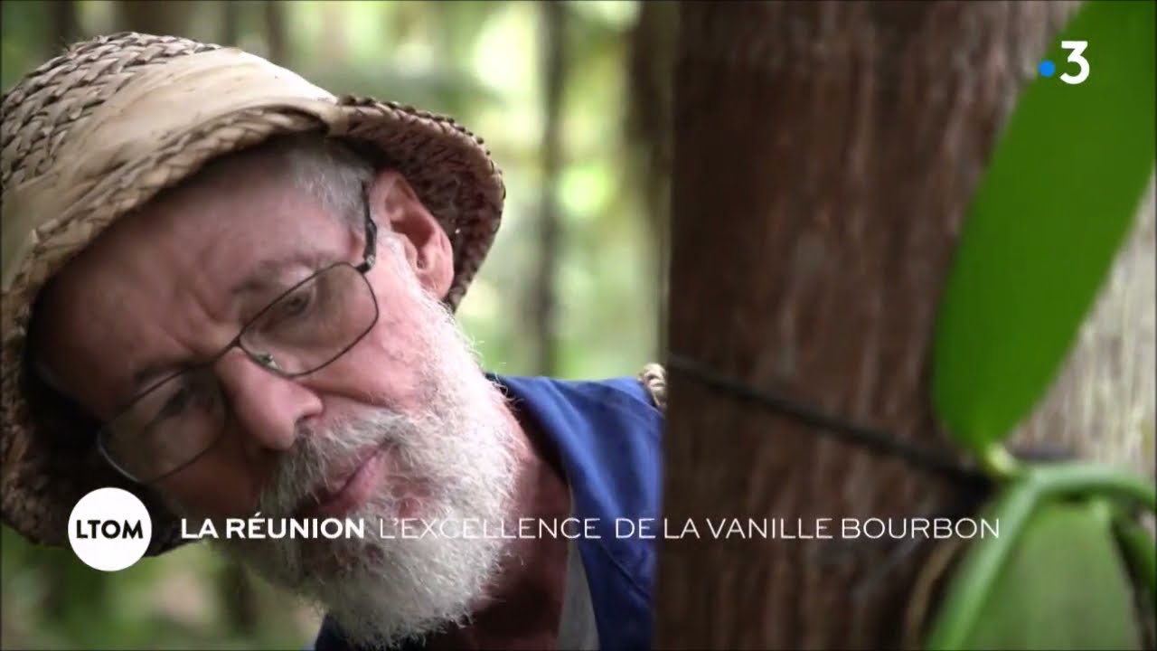 Les témoins d'Outre-Mer : l'excellence de la vanille Bourbon (La Réunion)