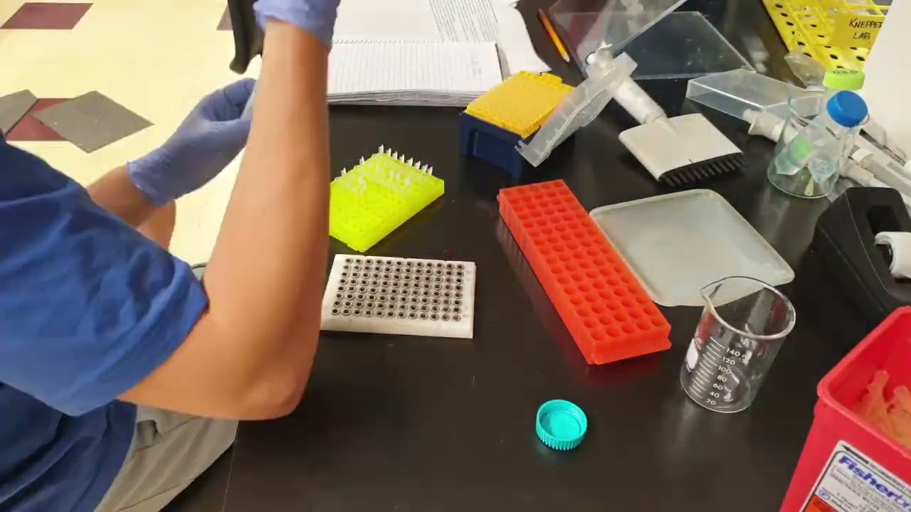How to Perform a Pre-Sequencing Bead Cleanup? # Tutorial