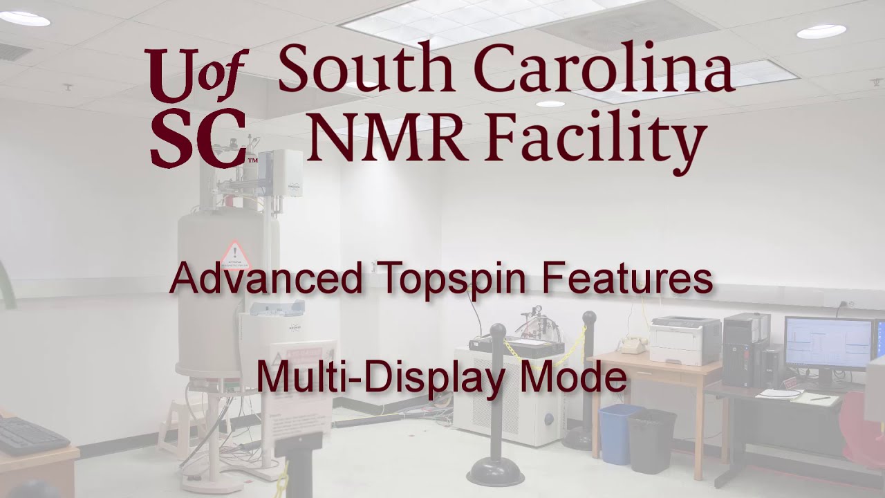 Topspin Multidisplay mode
