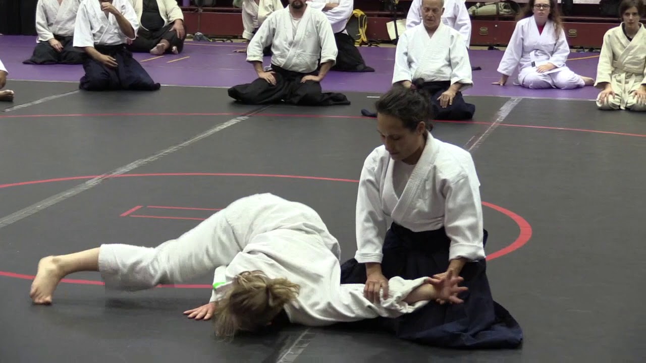 Birankai Aikido Summer Camp 2019 - B. Vargas, Shidoin
