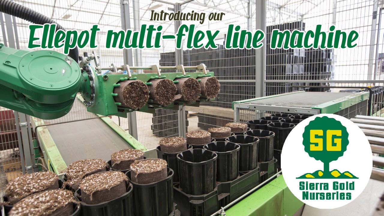 Introducing our Ellepot multi-flex line machine!