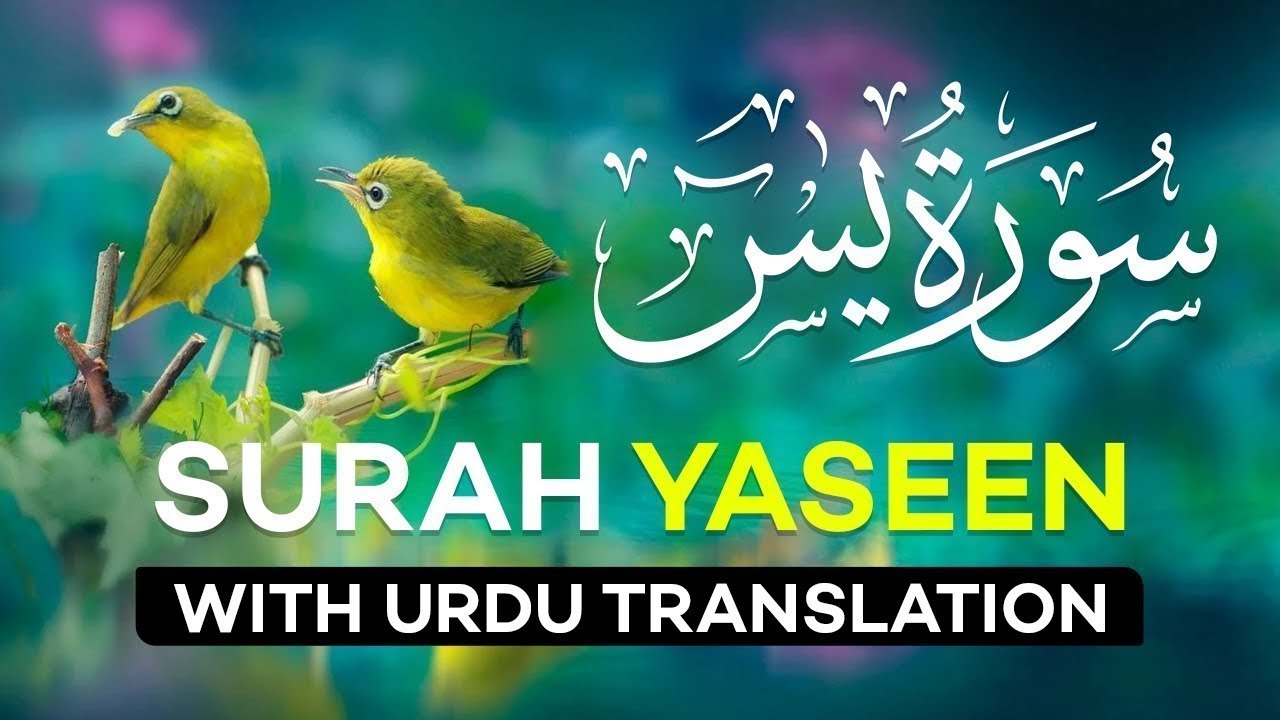 Surah Yaseen with Urdu Translation Full | Surah Yaseen Tarjuma Ke Sath | Surah Yaseen Ki Tilawat