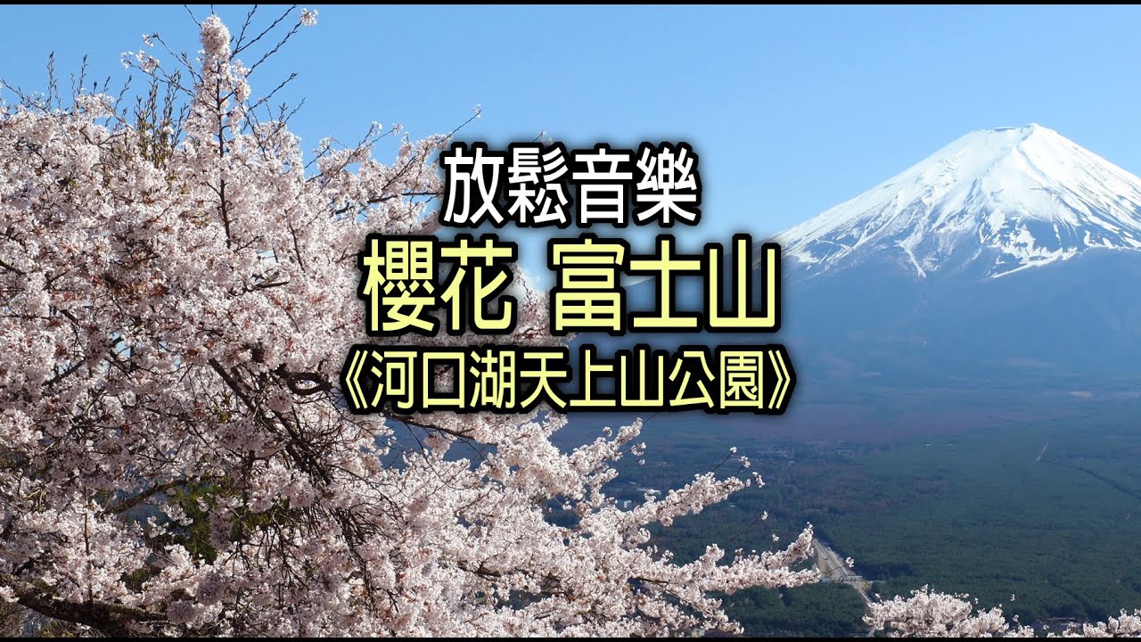 《河口湖天上山公園 富士山 櫻花》4K UHD #029    一小時富士山風景主題放鬆音樂   ｜ 工作・讀書・放鬆用音樂,影片 ｜ relaxing music ｜ 勉強用・作業用BGM