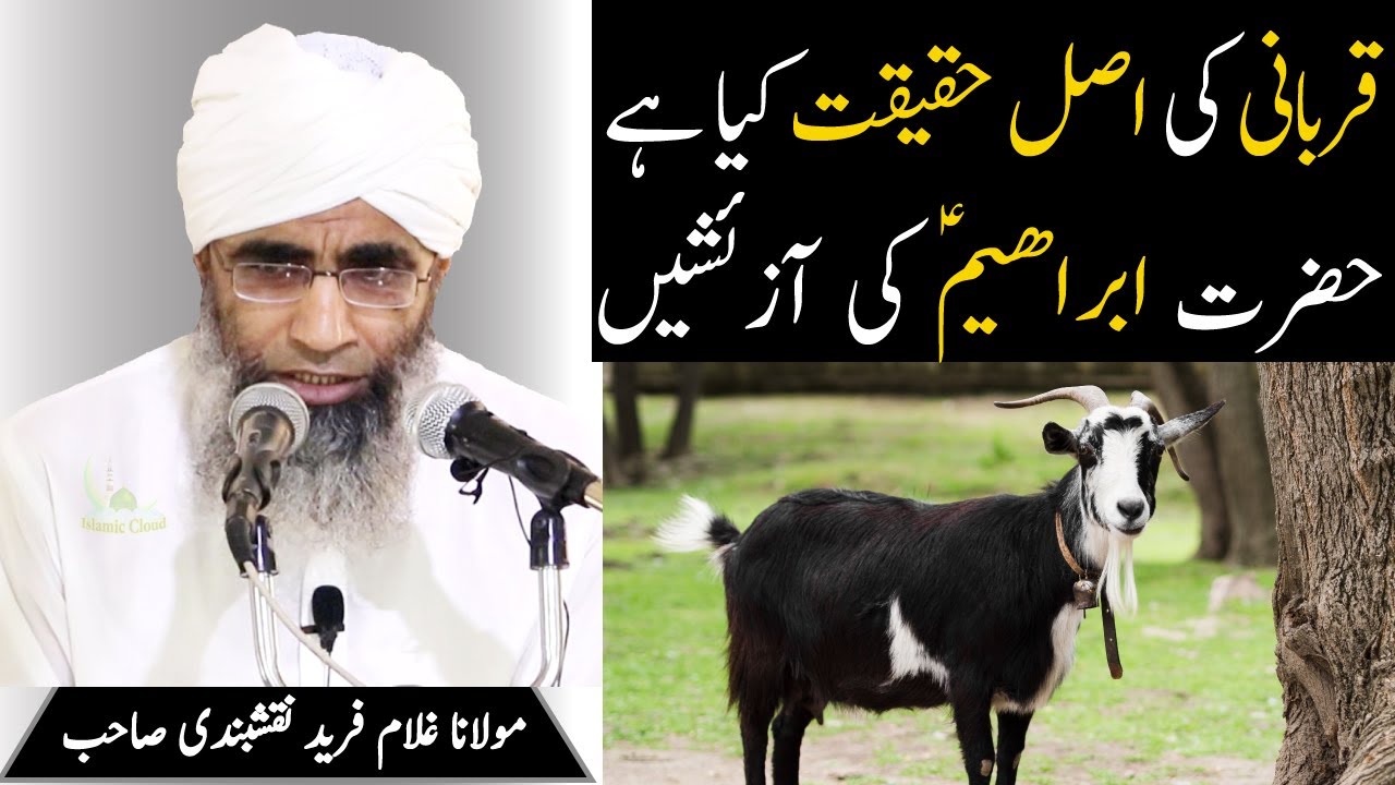 Qurbani Of Hazrat Ibrahim and Ismail | Bayan Molana Ghulam Fareed Sahab | Islamic Cloud