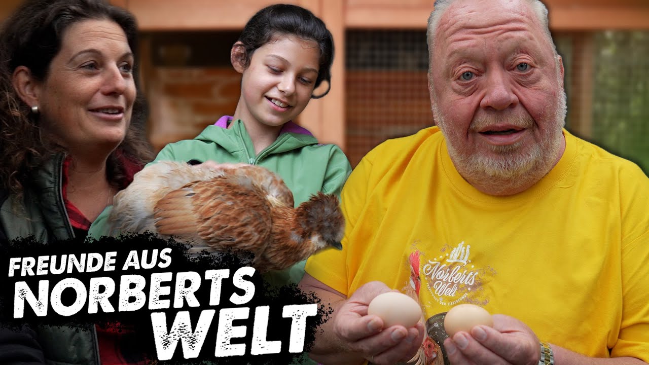 DIE HÜHNERFLÜSTERIN | FREUNDE AUS NORBERTS WELT | Zoo Zajac