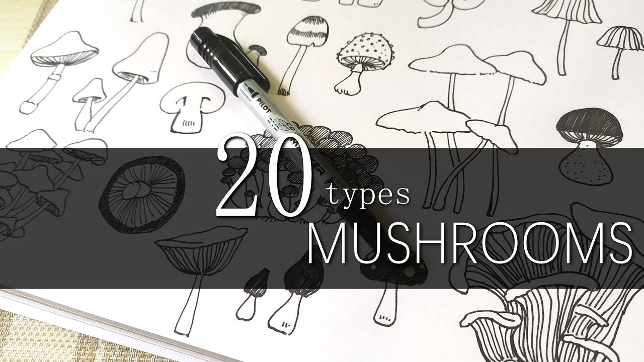 Doodle Arts|How to draw Mushrooms|20 types|Milly's Doodles