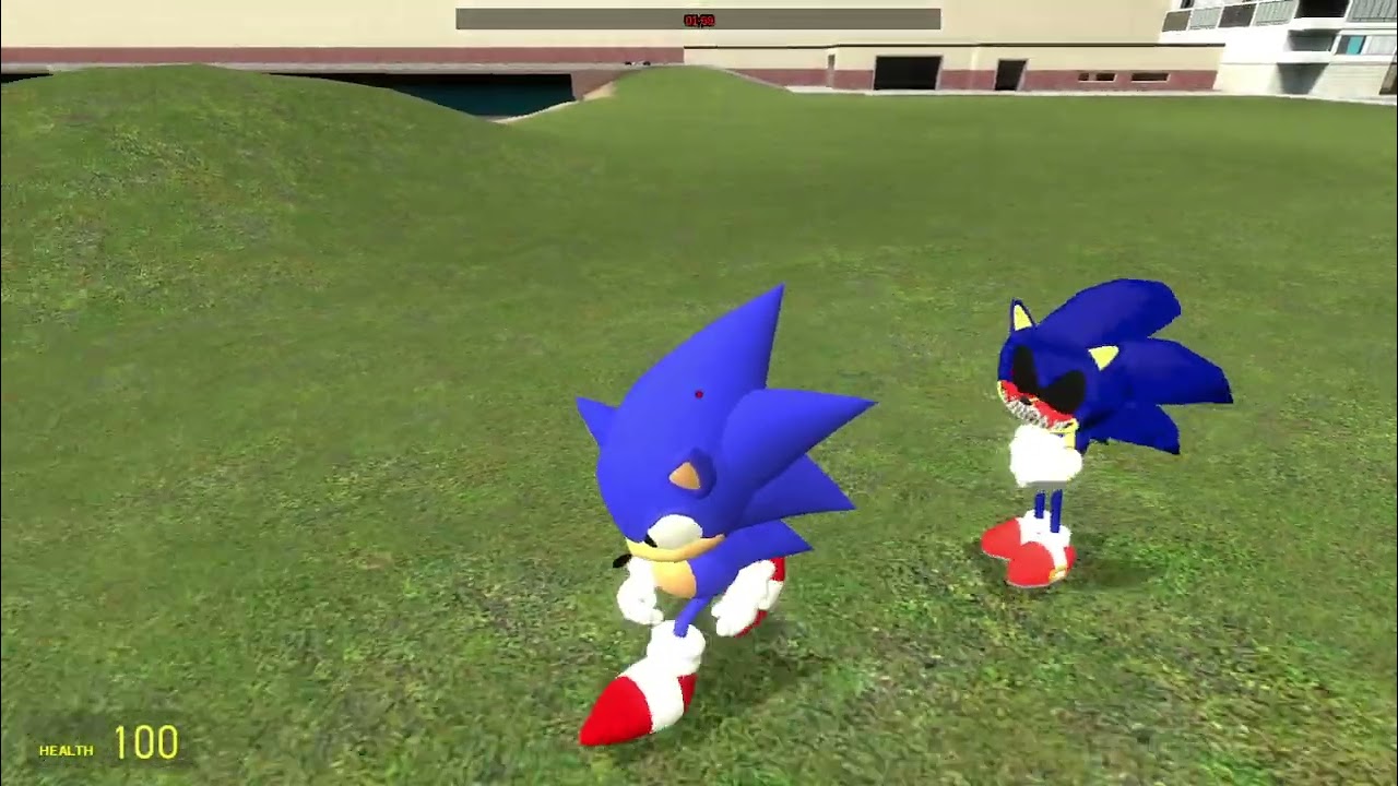Sonic