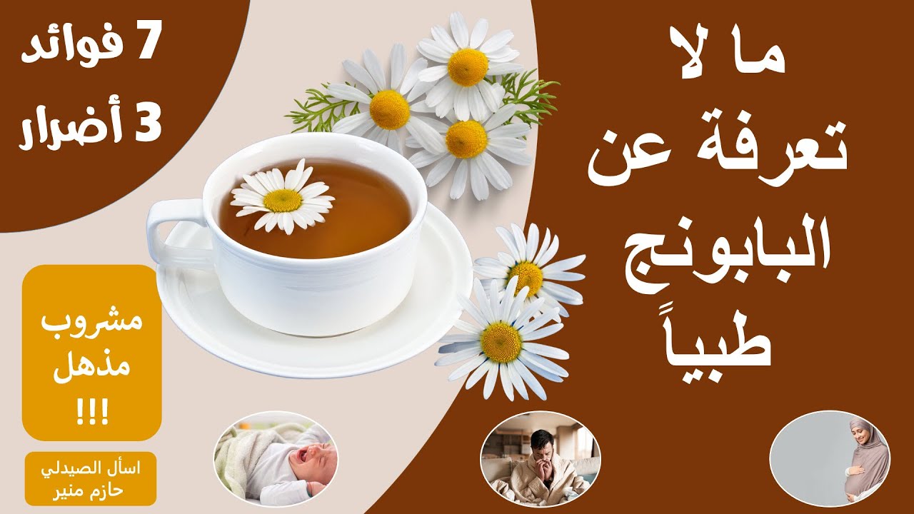 فوائد واضرار البابونج - فوائد واضرار الكاموميل | فوائد شراب البابونج