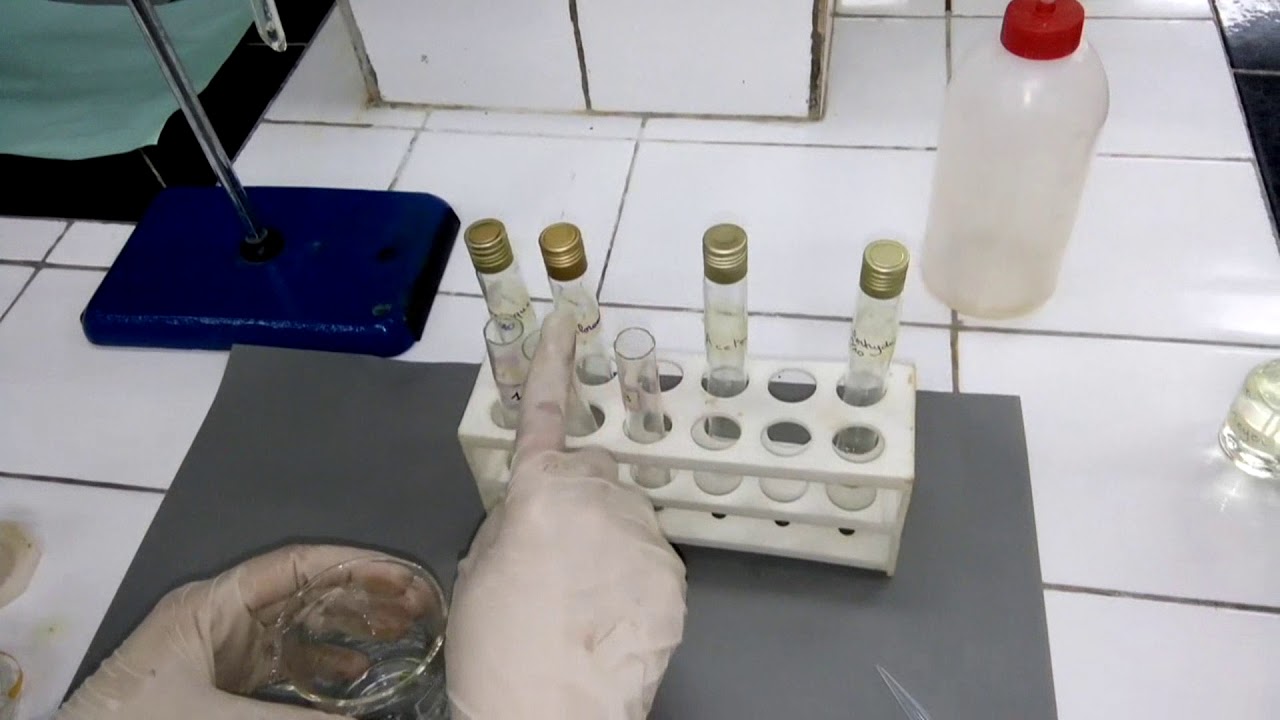 Caractérisation physico-chimique des Alcaloïdes tropaniques dans les feuilles de Datura