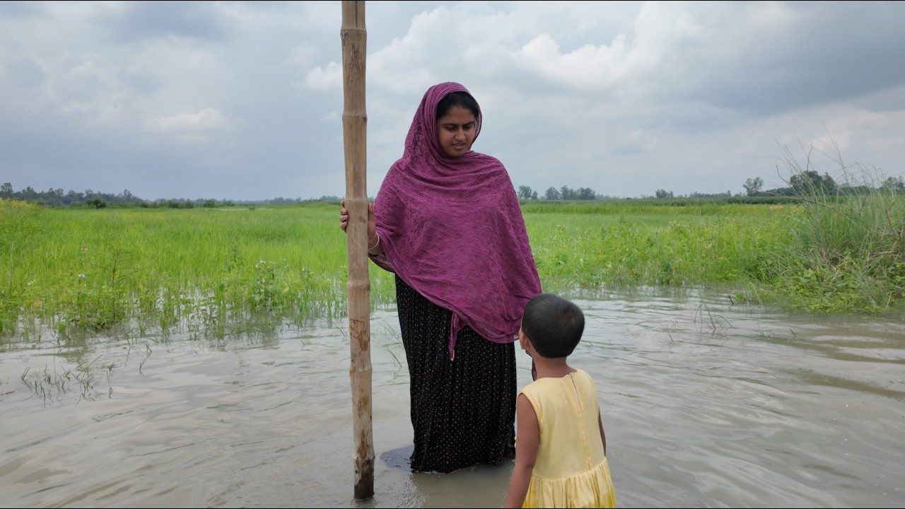 বন্যায় আমাদের ভুট্টার জমি তলিয়ে যাচ্ছে | Doyel Agro