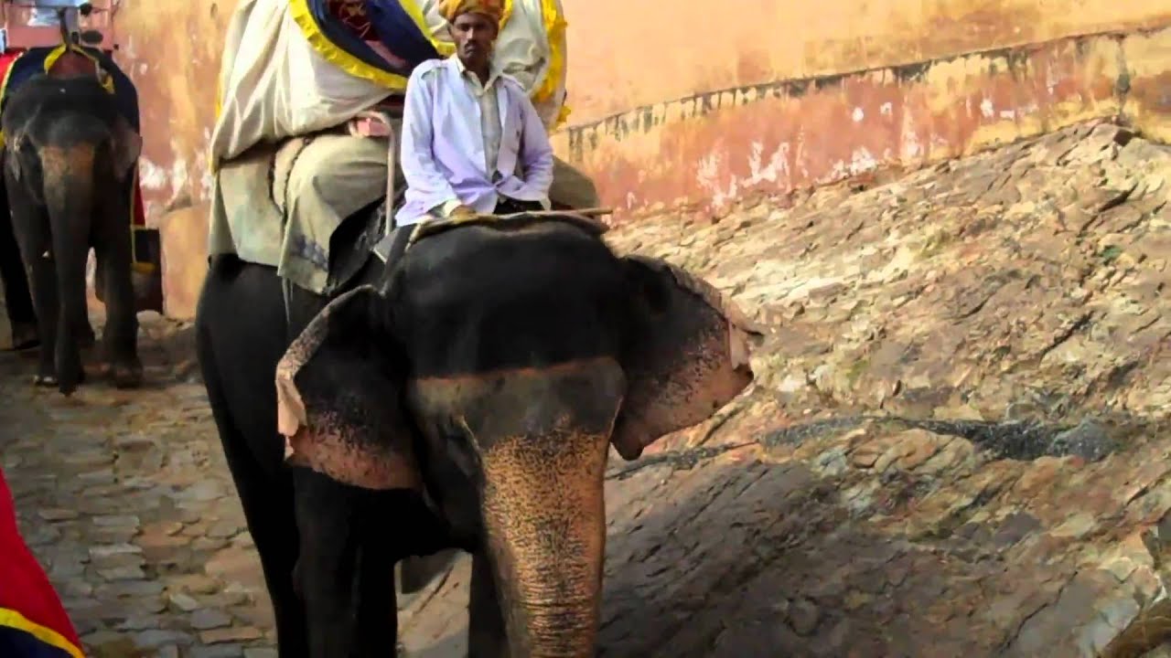 Elephant Ride at Amber Fort, Jaipur, Rajastan, India