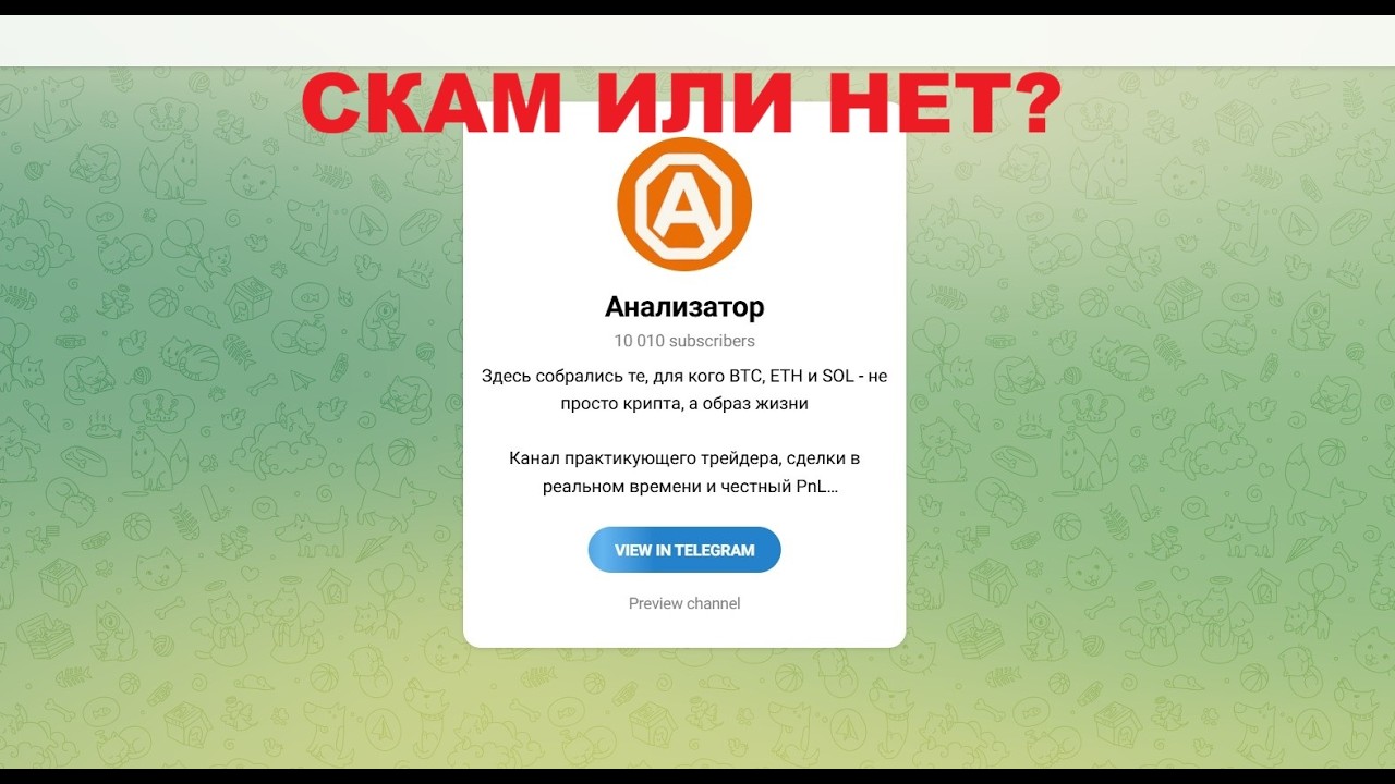 Анализатор: отзывы о телеграмм канале?