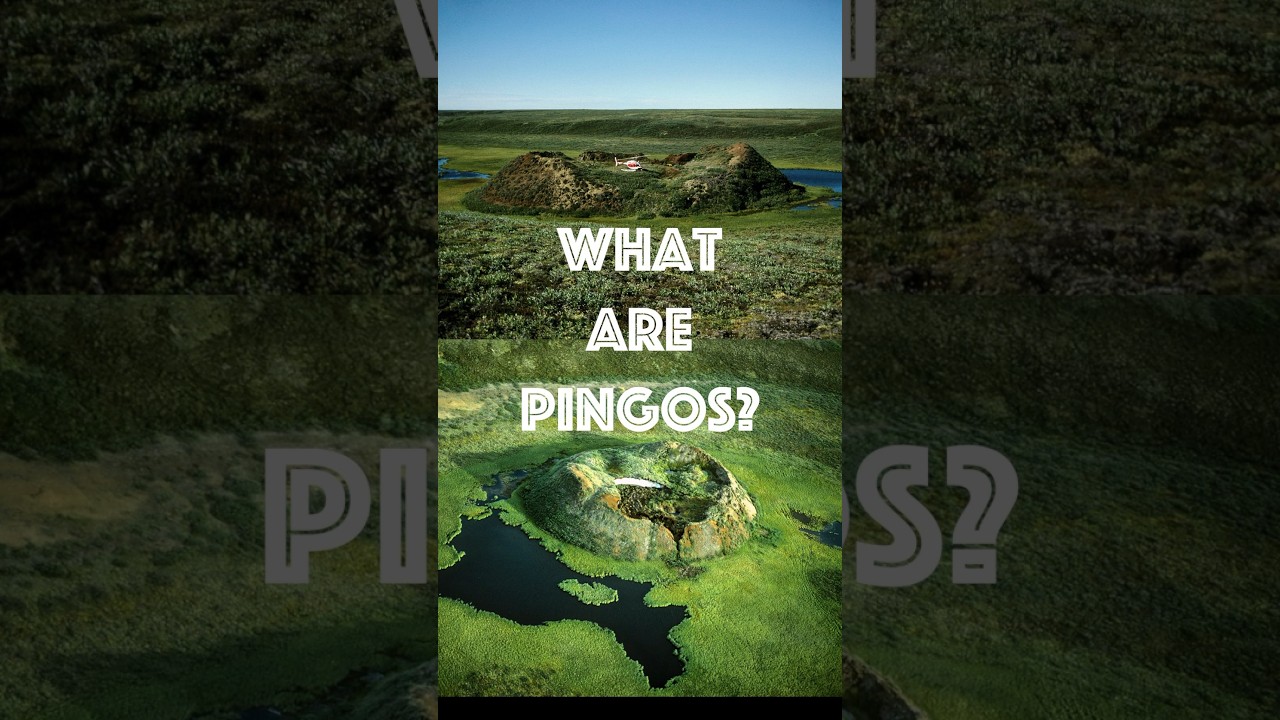 What are Pingos? #shorts