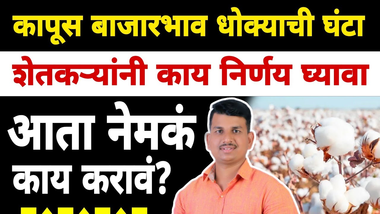 कापूस बाजार भाव महत्वाची अपडेट | Dnyaneshwar Kharat Patil