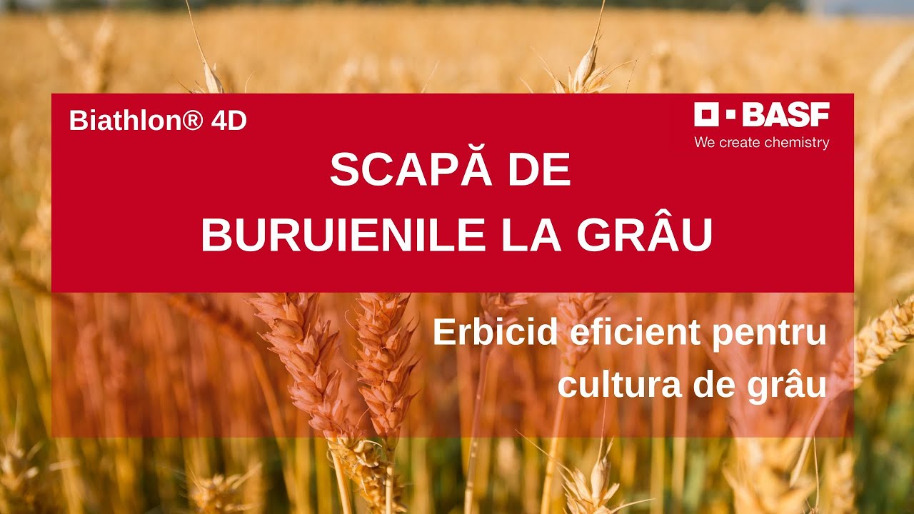 Erbicidare Grau - Control EXCELENT al Tuturor Buruienilor