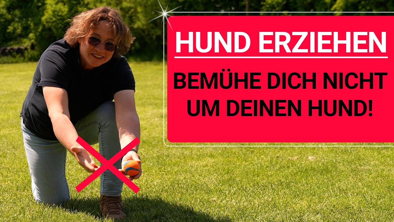 💥🚨🐶 Der größte Fehler beim Hund Erziehen 👉 Mach das NIE! 🐶💥✔️