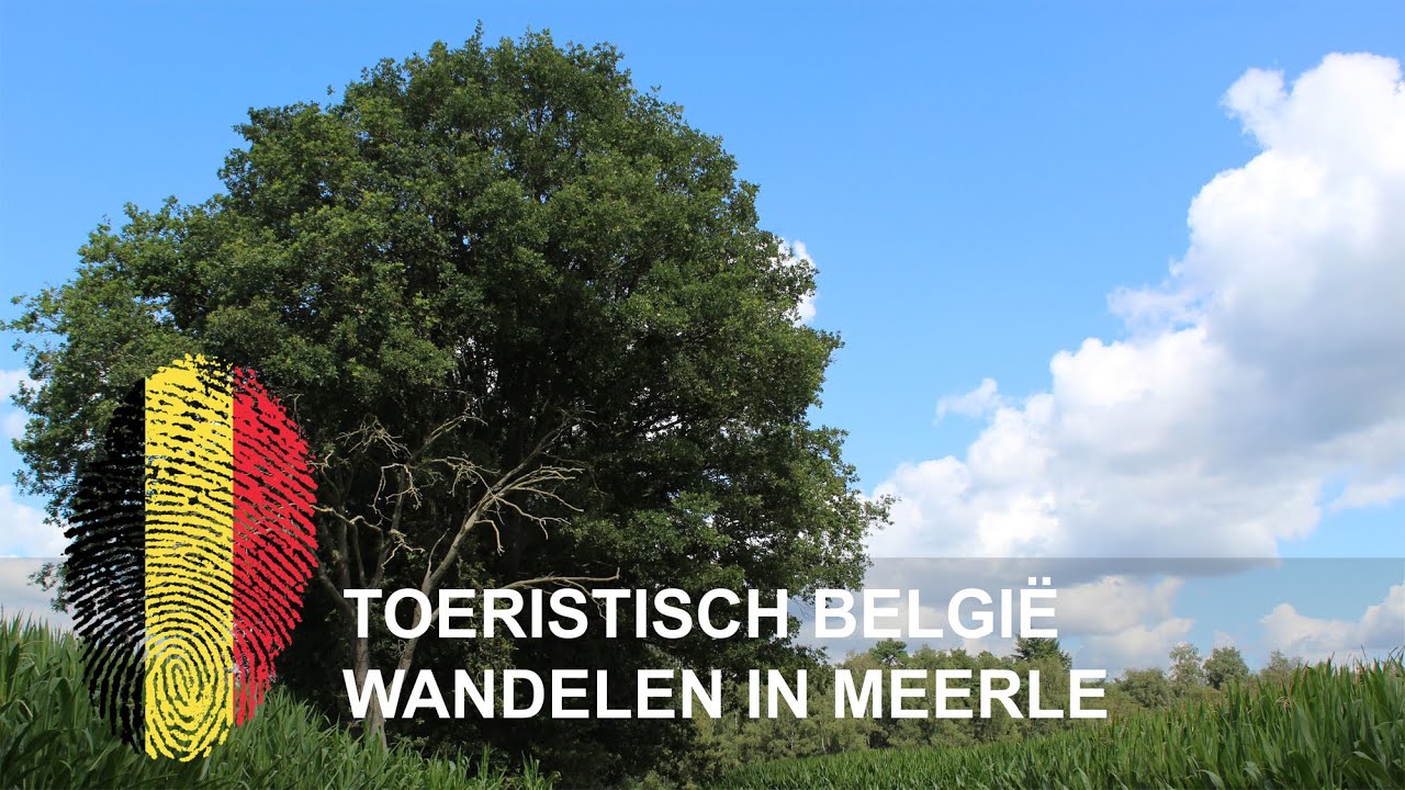 België | Wandelen in Meerle  |  De Elsakker (B) & Strijbeekse Heide (NL)