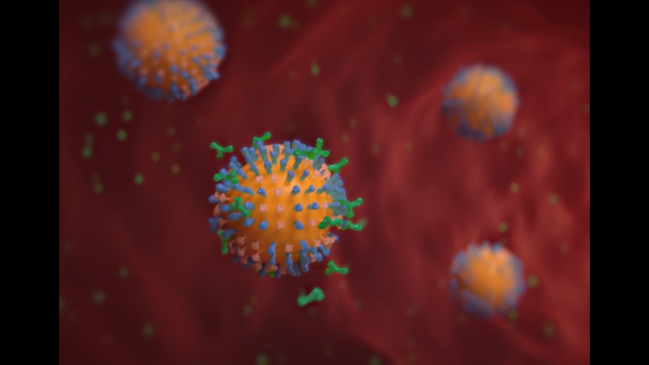Developing a Universal Flu Vaccine