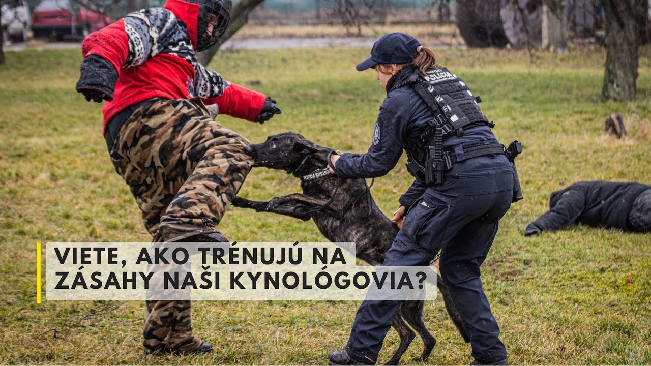 Ako trénujú policajné psy na zásahy v meste