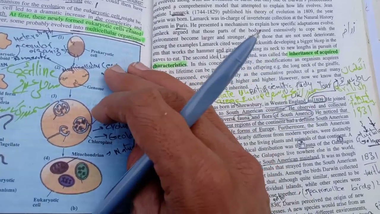 Evolution CH 24|| short questions and long Questions class 12 Biology||