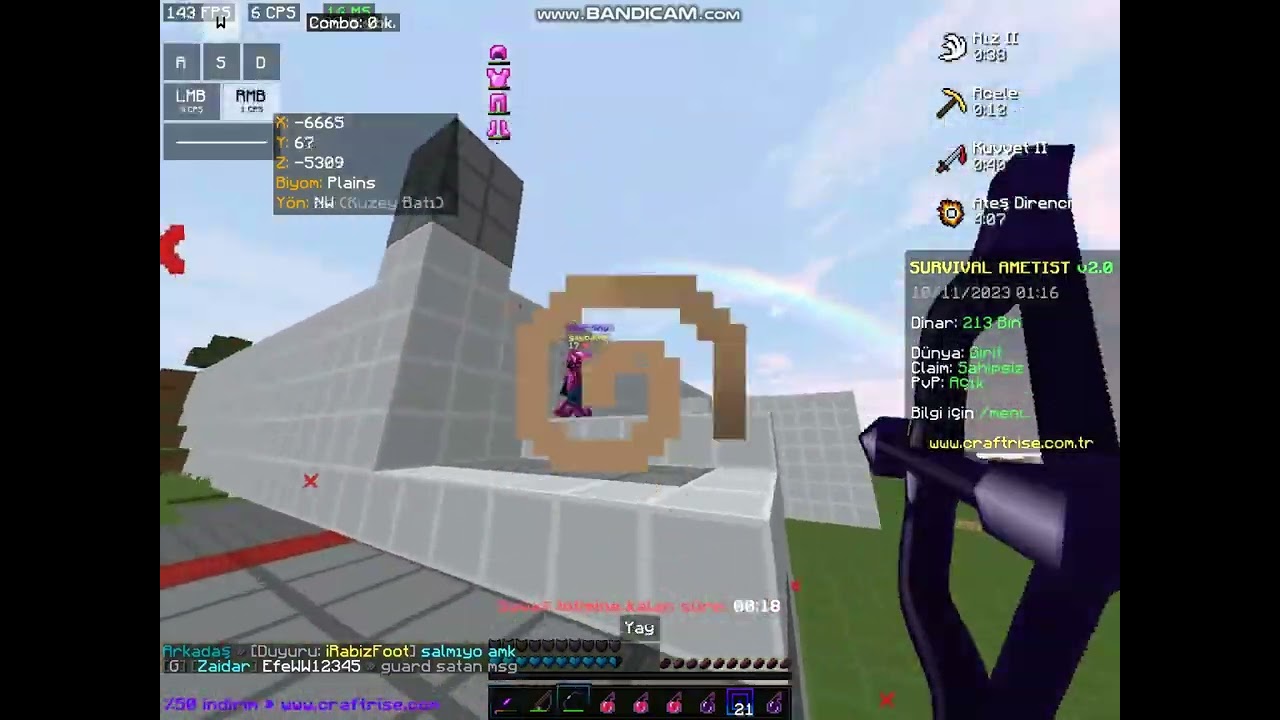 survival ametist bfdı143 kesmeli açık alan pvp