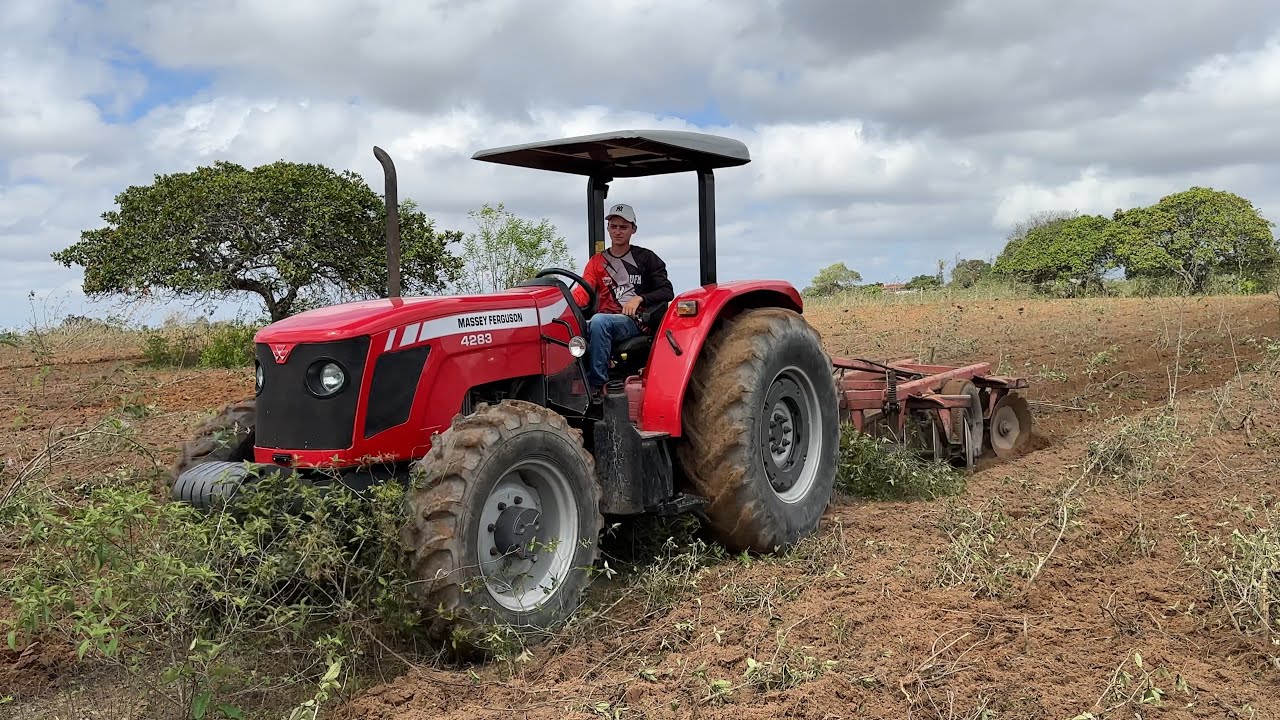 Chegou mais um traçado para trabalhar na invernada em cacimba de dentro pb