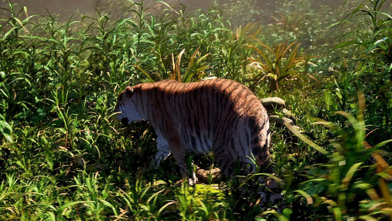 What’s Really Wrong With Animal Survival Games?