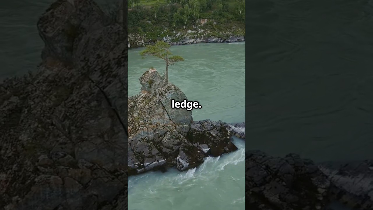 Gold Signals: Tracing Paths of Mineralized Earth (Season 1 Ep4) The Ledge Where Gold Paused #ledges