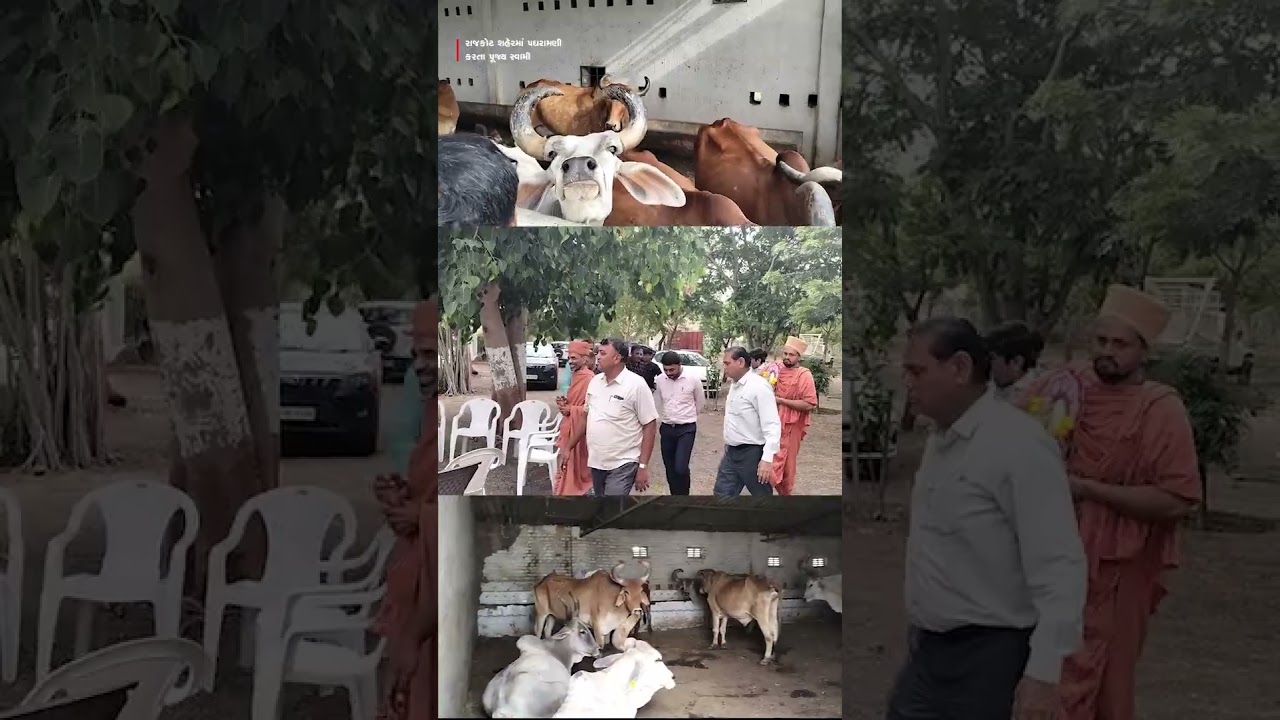 રાજકોટ શહેરમાં ઘરે ઘરે પધરામણી કરતા પૂજ્ય સંતો || 