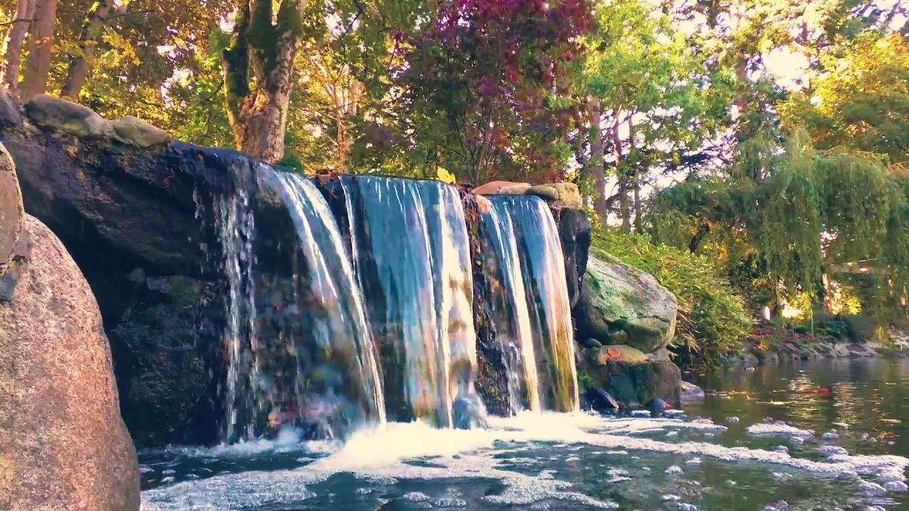 Relaxing Sounds For Meditation | Waterfall Birds 💙