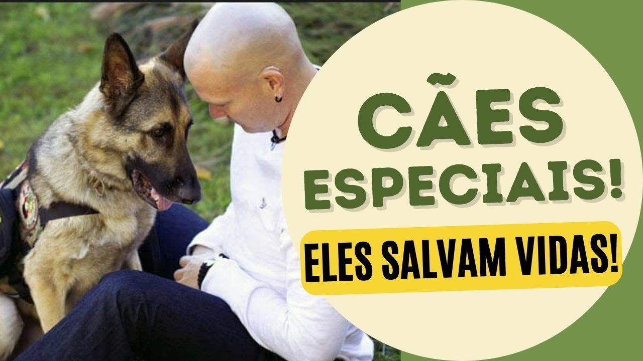 CÃES DE APOIO EMOCIONAL, TERAPIA E SERVIÇO - Explicados!