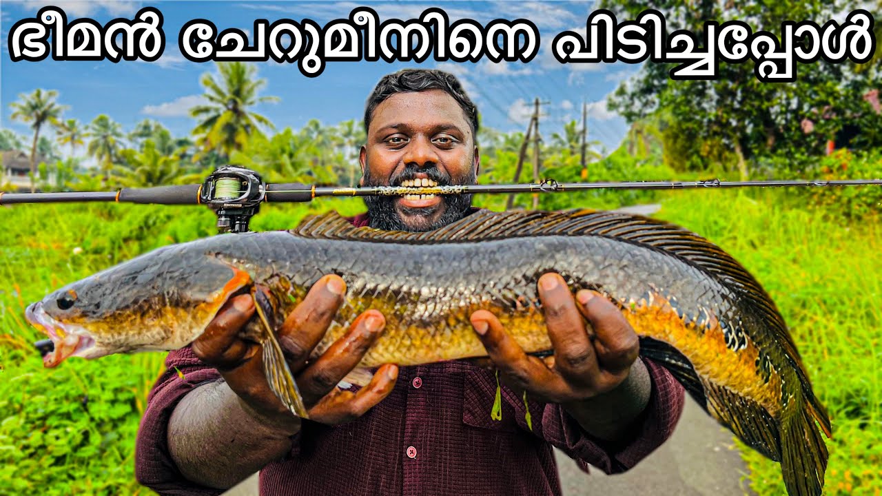 ഭീമൻ ചേറുമീനിനെ പിടിച്ചപ്പോൾ 🦈😳😱. #fishing #cherumeen #fishingvlog