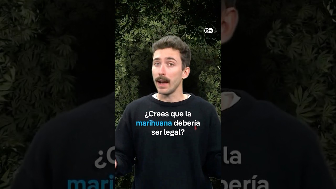 &iquest;&Eacute;xito o fracaso? &iquest;Es la legalizaci&oacute;n de la marihuana en Uruguay un ejemplo a seguir?