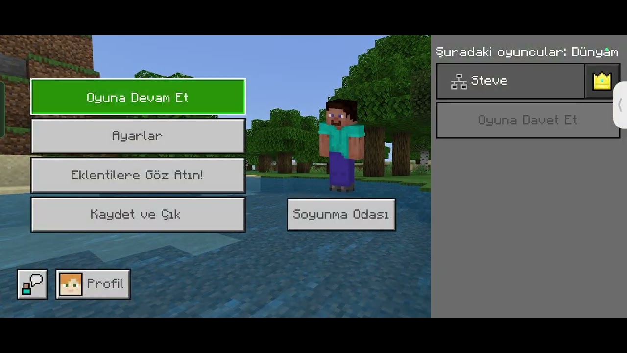 Minecraft hayatta kalma 5. bölüm