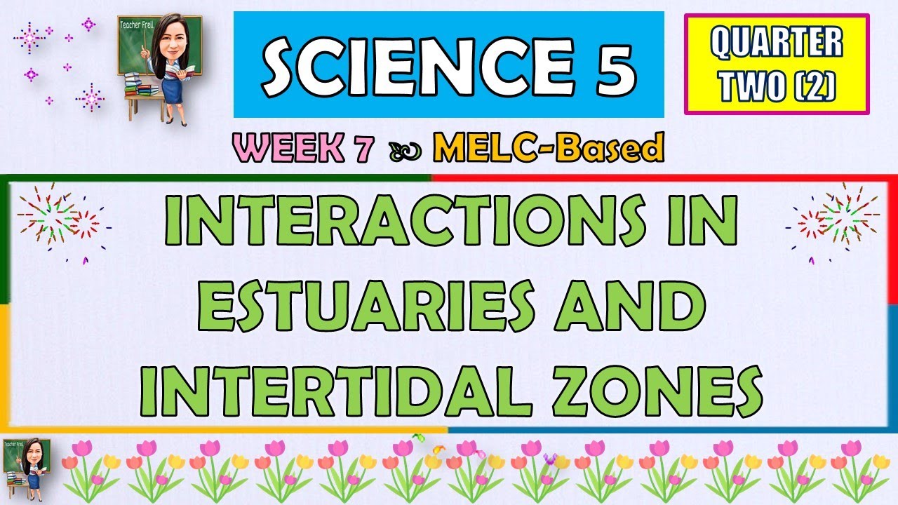 SCIENCE 5 || QUARTER 2 WEEK 7 | INTERACTIONS IN ESTUARIES AND INTERTIDAL ZONES | MELC-BASED