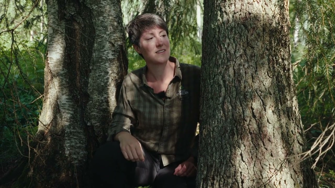 Känn igen spår av skogsbete