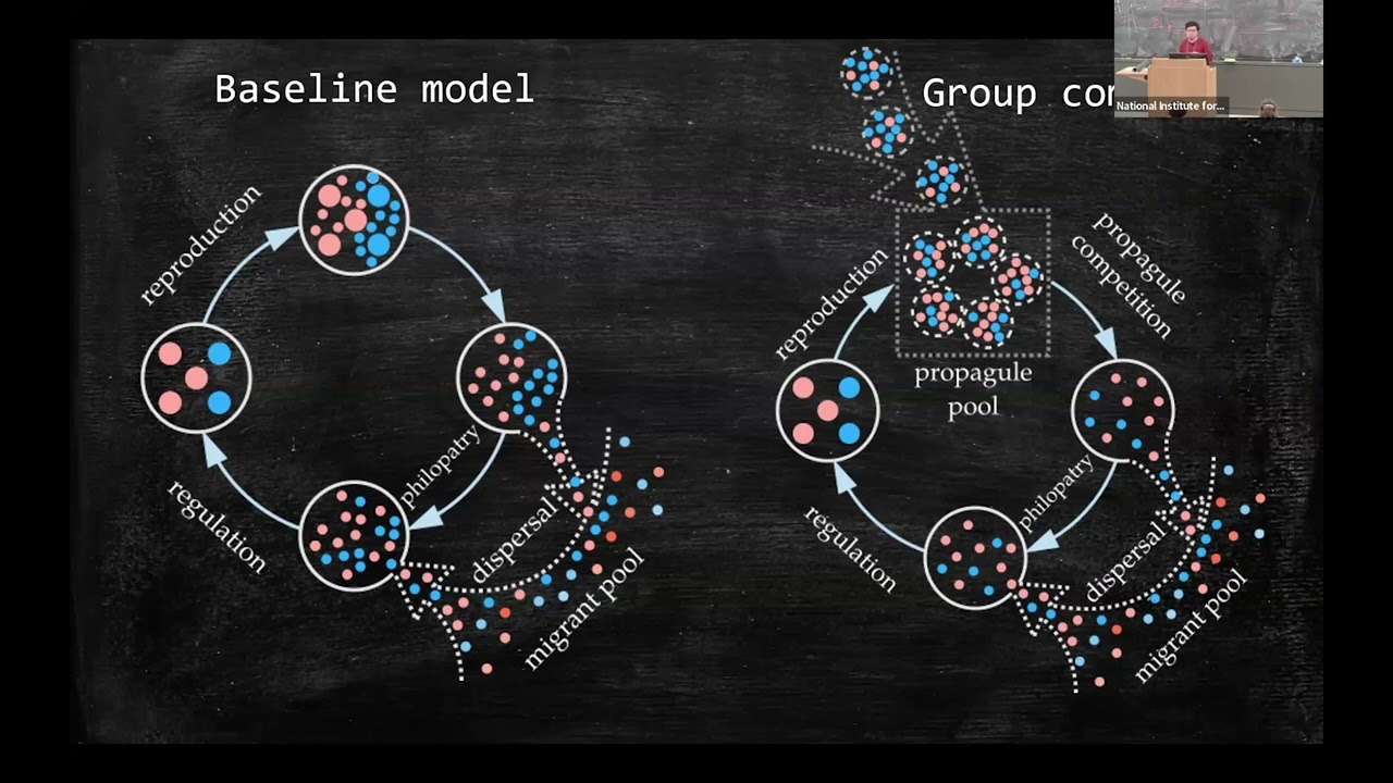 The effect of background selection on the evolution of altruism in metapopulations