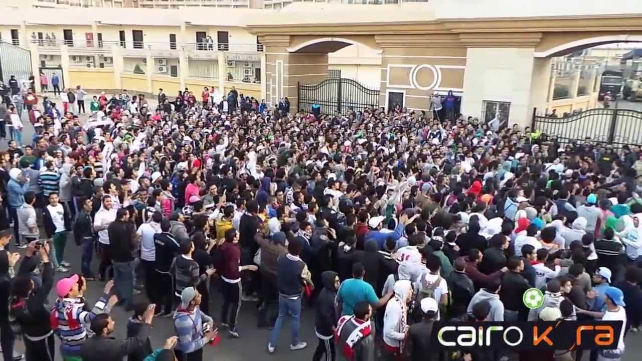 بالفيديو.. 